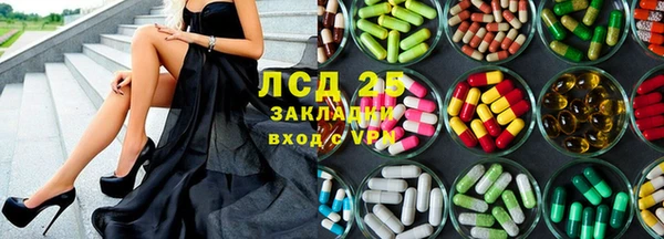 спиды Горняк