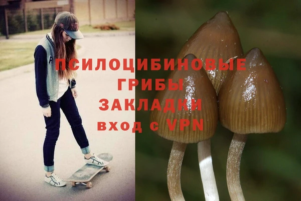 спайс Гусиноозёрск